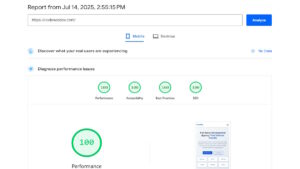 How CodeWiz Achieves Perfect 100/100 Page Vitals: The Art of Website Performance Optimization
