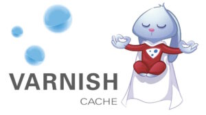 Varnish Cache: The Secret Weapon Behind Lightning-Fast Website Performance