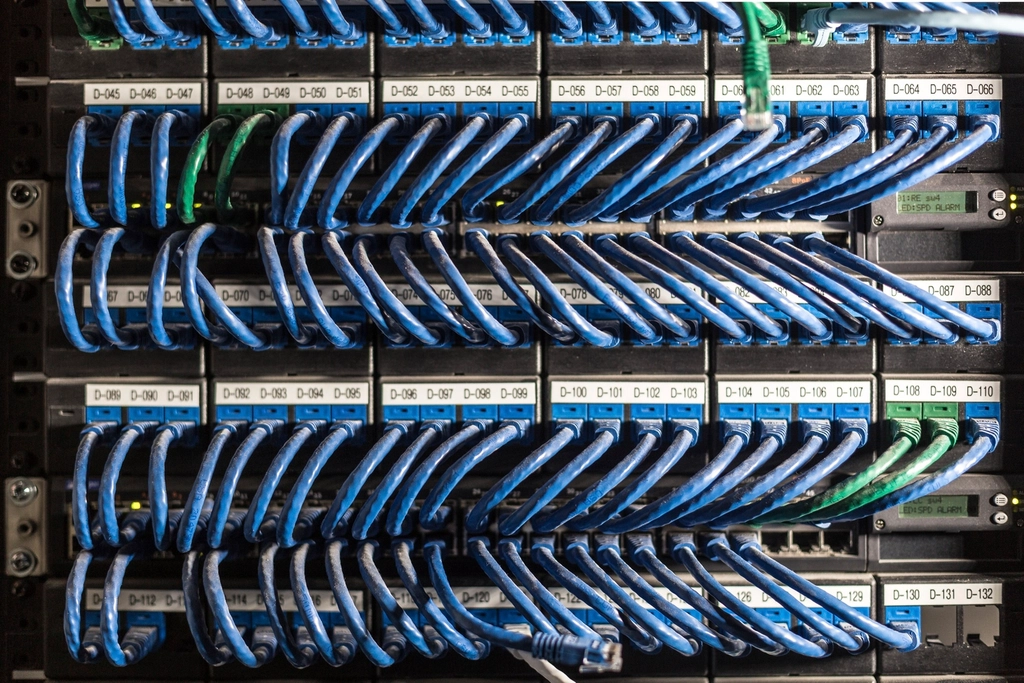 Rows of blue ethernet cables in a rack that AI crawlers request
