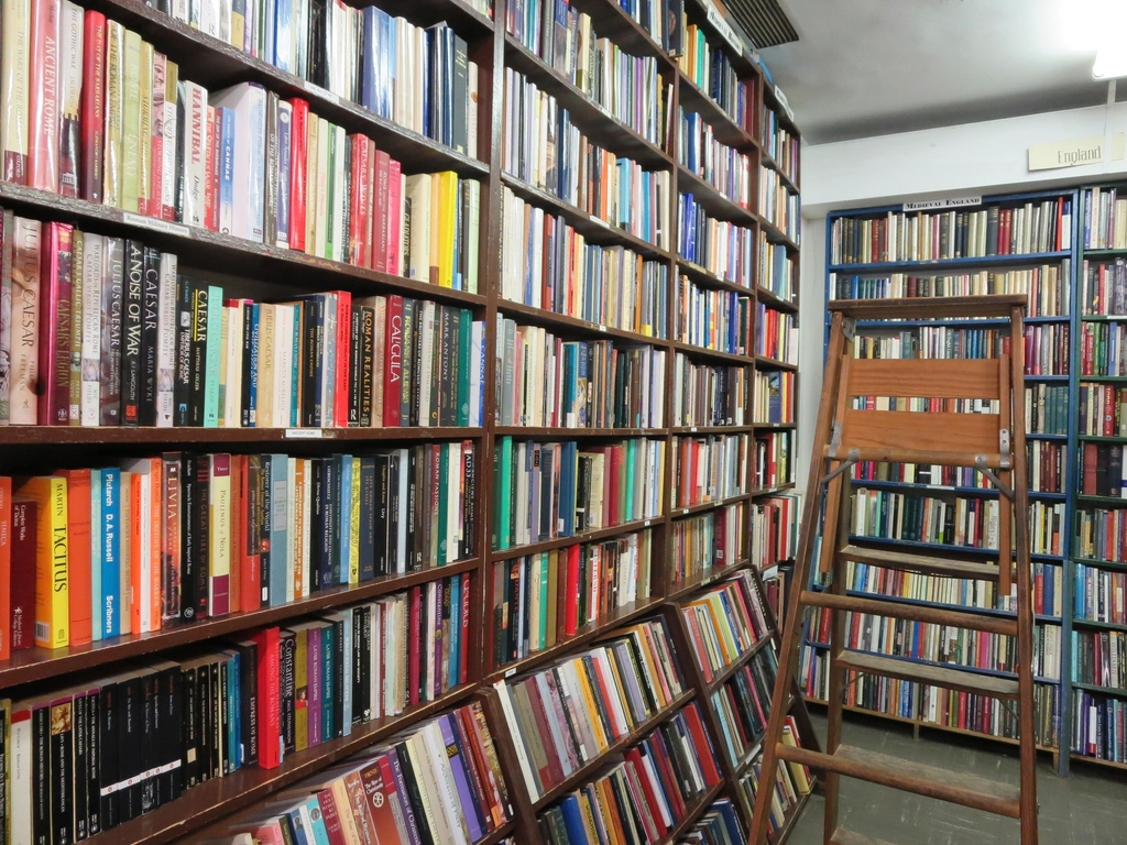 Floor-to-ceiling library shelves packed with books and a wooden ladder