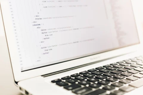 Custom Web Development & WordPress Services