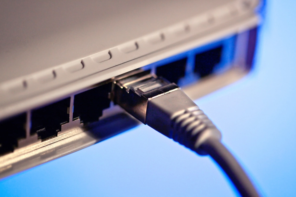 Close-up of an ethernet cable plugged into a row of network ports