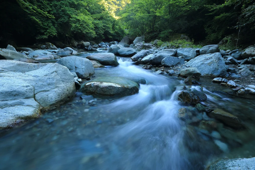 Clear mountain stream rushing over smooth rocks in a green forest