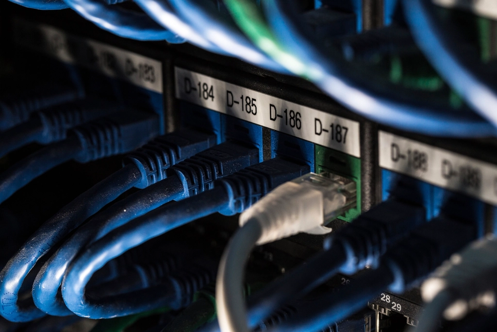 Development: Labelled network patch panel with blue Ethernet cables in a server rack