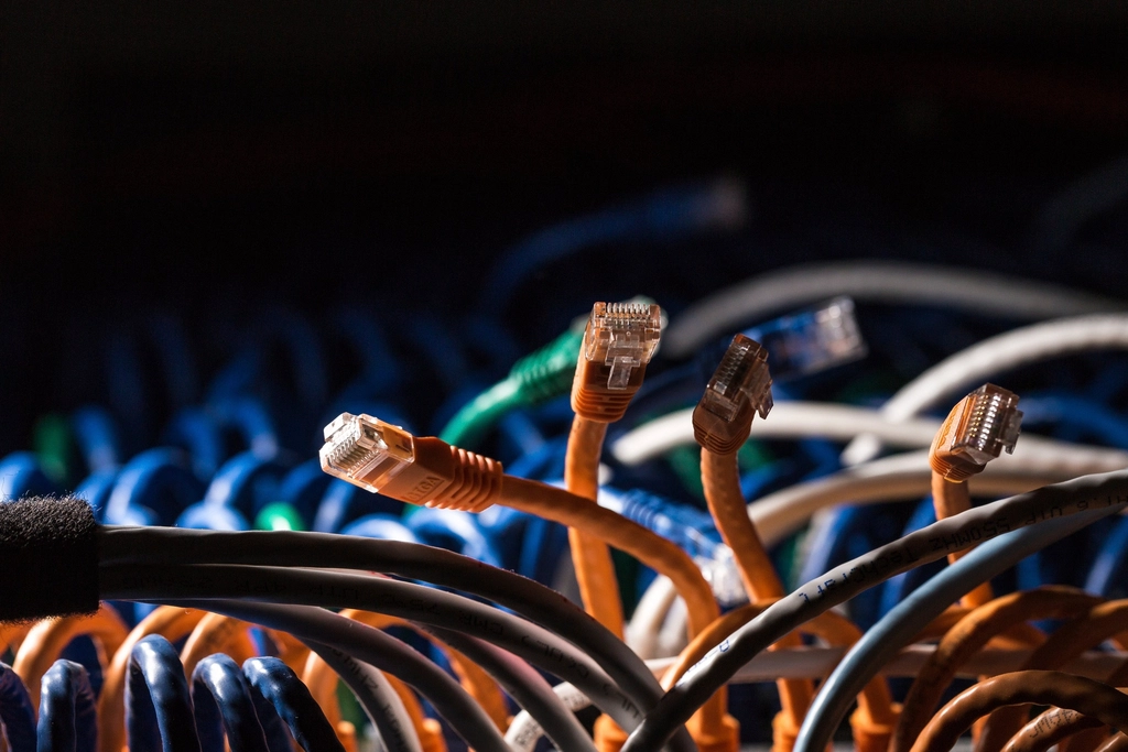 Event: Bundle of orange, blue and grey network cables with exposed connectors