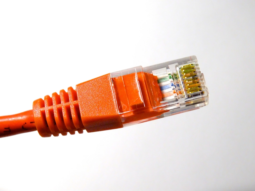 Orange Ethernet plug close-up against a plain light background