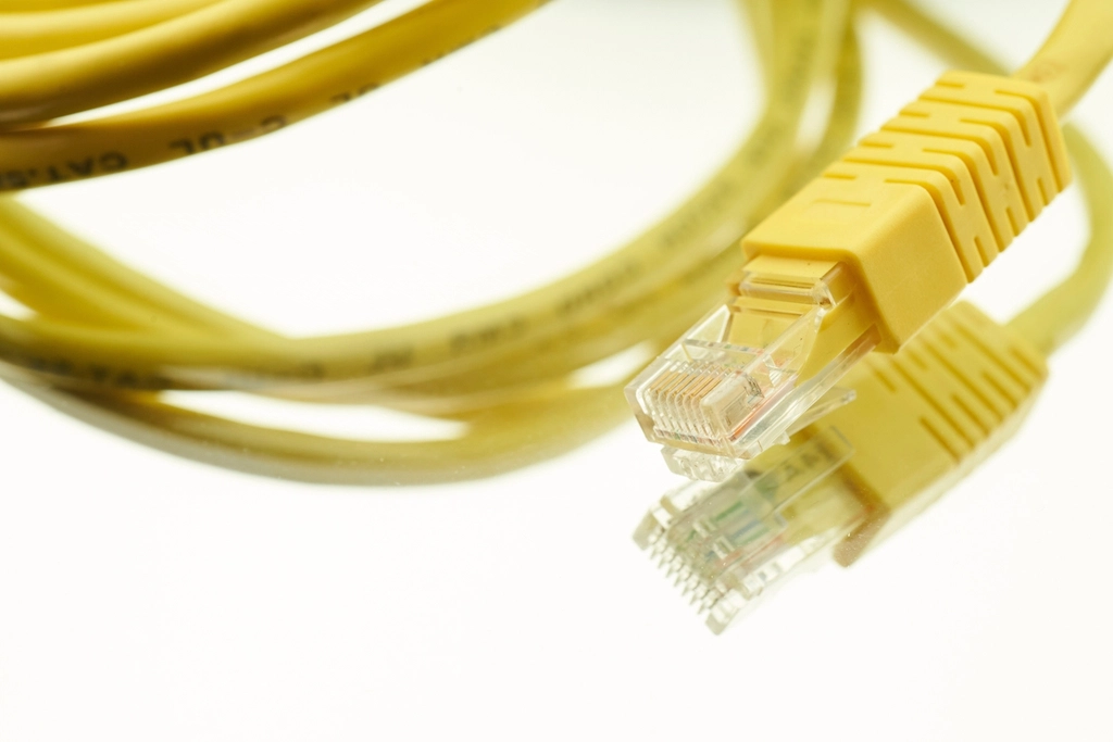 Yellow network cables with clear connectors on a white background